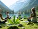 A diverse group of women practicing yoga and meditation in a lush British Columbia landscape with elegant cannabis leaves subtly incorporated in the background to represent the integration of cannabis into women’s wellness routines.